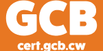 Visa partner logo